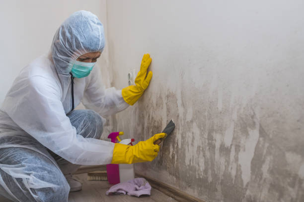 Best Mold Remediation for Specific Building Types in Yosemite Valley, CA