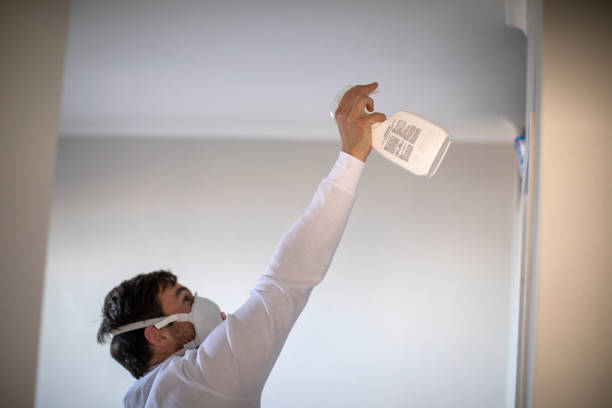 Best Health and Safety Mold Remediation in Yosemite Valley, CA